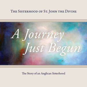 A Journey Just Begun book cover image